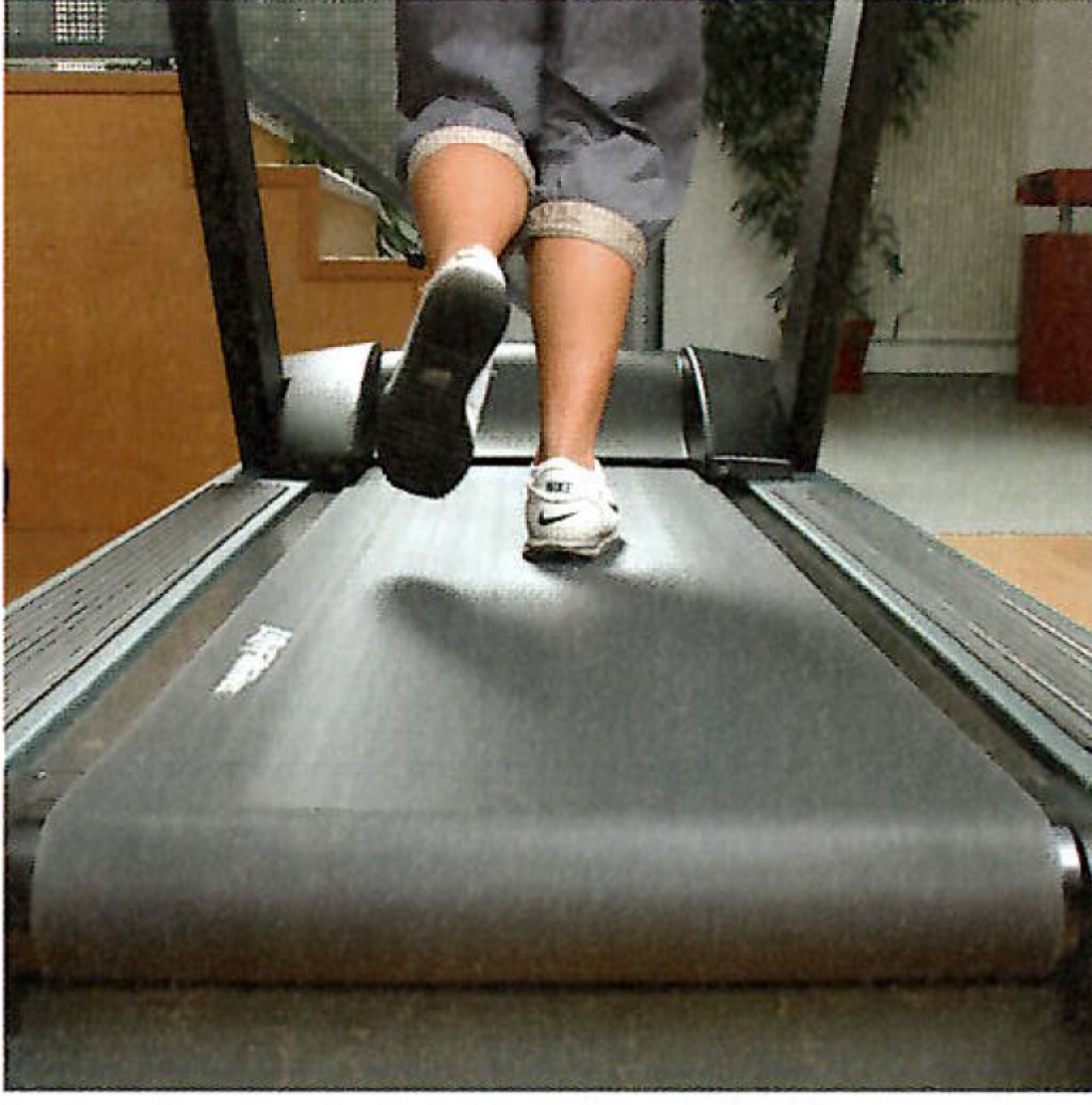 LifeFitness treadmill belt